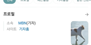 인스타 유행 릴스 유래 | 꽁꽁 고양이 티라미수 케익