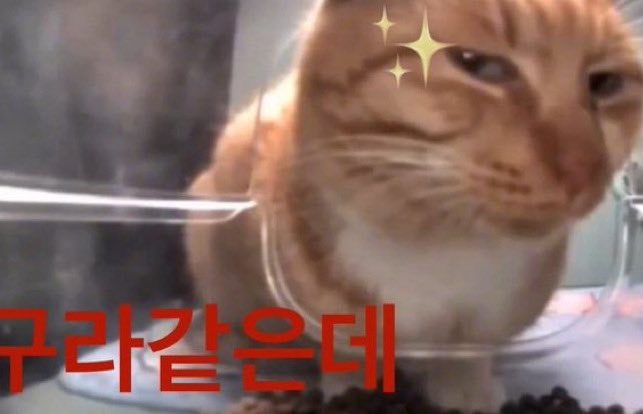 2024 트위터 밈 | 유행하는 인터넷 밈 모음